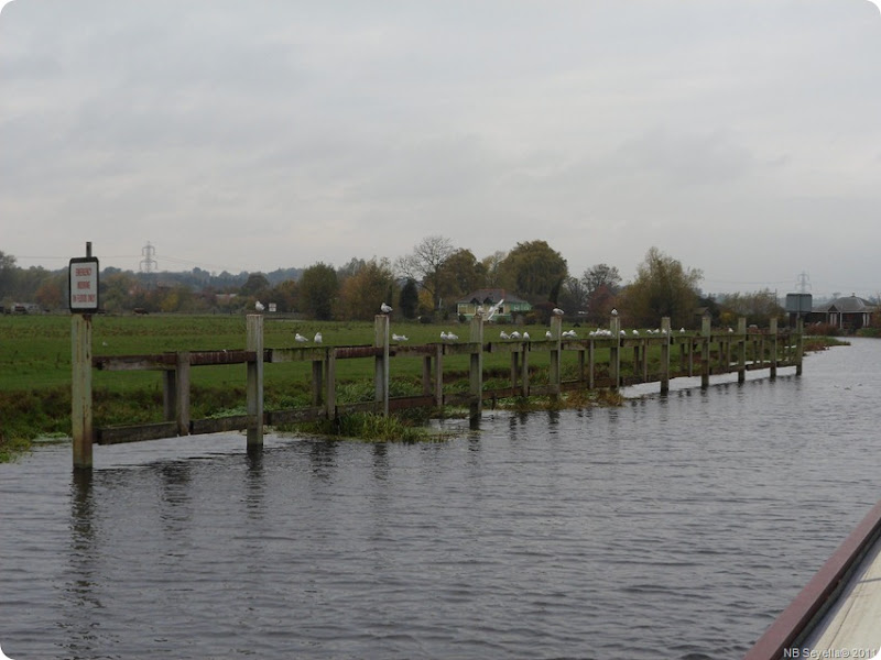 SAM_0019 Flood Moorings