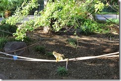 IMG_6491 IMG_6491