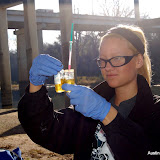 Austin Youth River Watch partnered with Keep Austin Beautiful and the City of Austin's Watershed Protection Department to host a Day of Service at the Montopolis Bridge in honor of Martin Luther King, Jr. Volunteers tested water quality (guided by our River Watchers), learned about aquatic insects, and collected litter in the Colorado River Wildlife Sanctuary. Day of Service @ Montopolis - 21jan2013