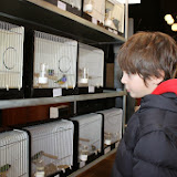 IMG_5370.jpg