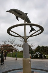 IMG_2949 IMG_2949