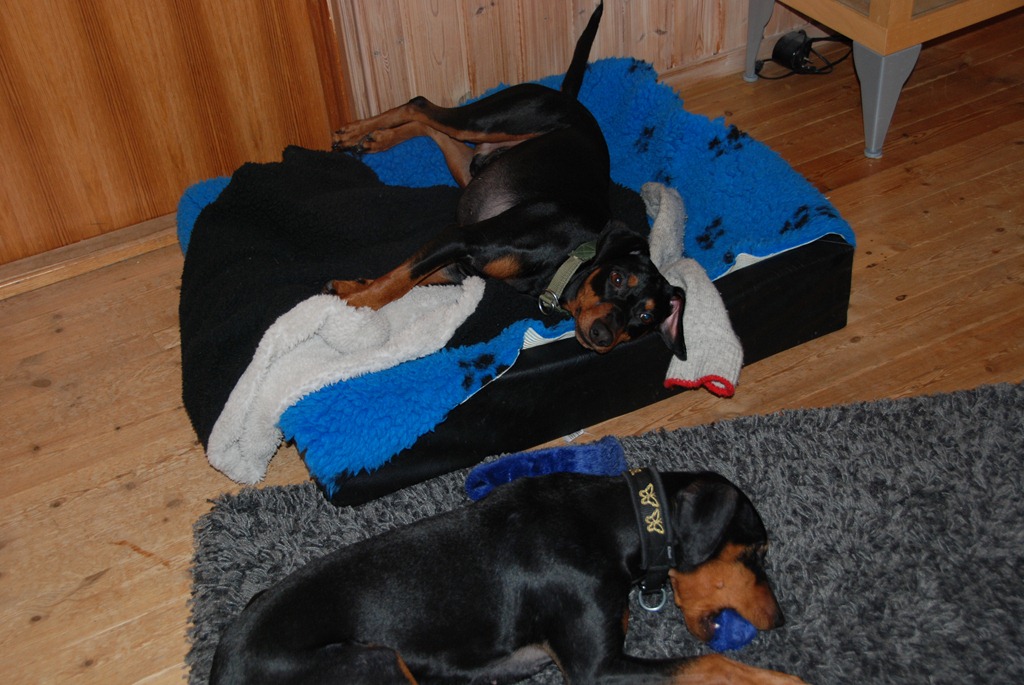 [DSC_0698%255B5%255D.jpg]