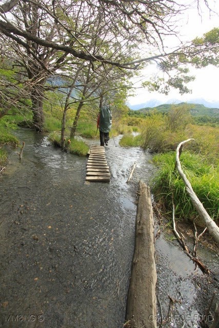 [IMG_5968%255B13%255D.jpg]