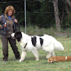 carlos_abwenden_rehdecke_1.jpg