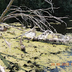 DSCN8291.JPG