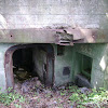 dsc06809.jpg