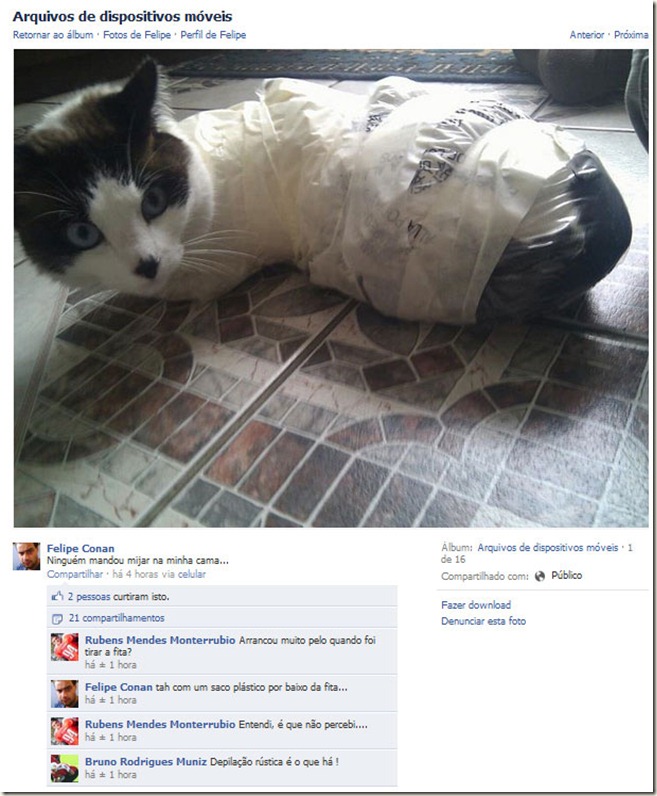 gato_torturado gato_torturado