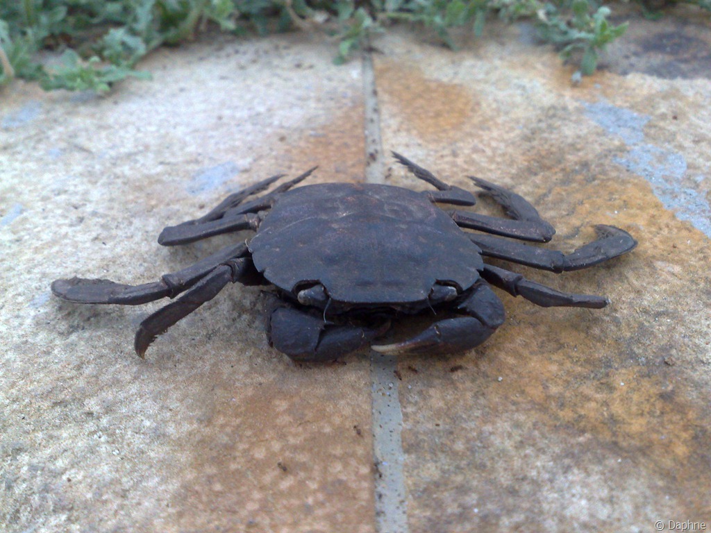 [20110922950%255B4%255D.jpg]