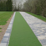 Tee Line