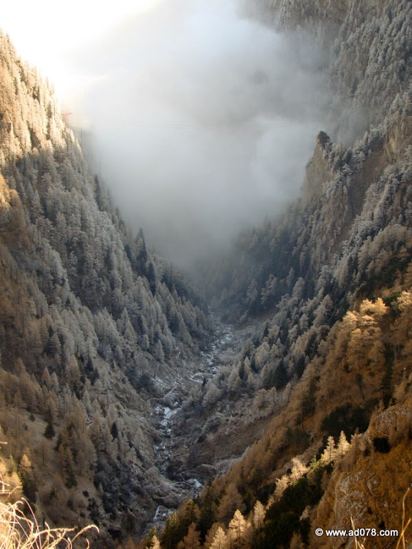 57.jpg