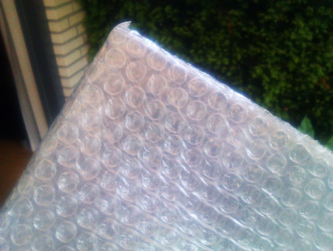 IMAG0622 IMAG0622