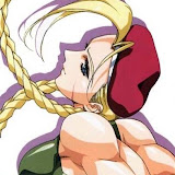 normal_cammy3.jpg