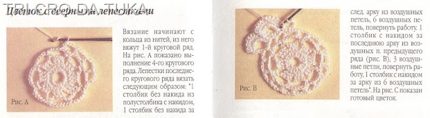 [roseta%255B29%255D.jpg]