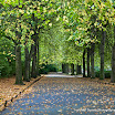 James Murray -  Stephens Green.jpg