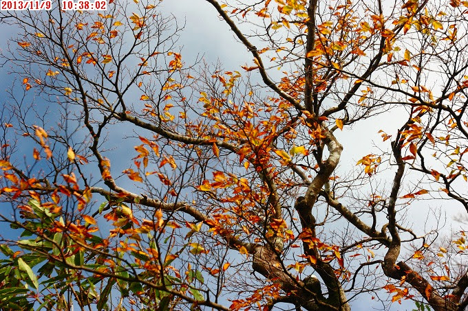 2013_1109_103802 2013_1109_103802