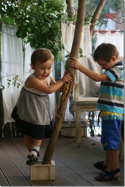 IMG_0300 IMG_0300