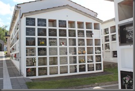 IMG_2961 IMG_2961
