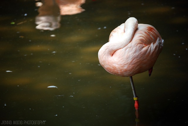 [DSC_05664.jpg]