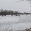 P1060897.JPG
