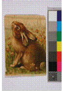 clip_image036 clip_image036
