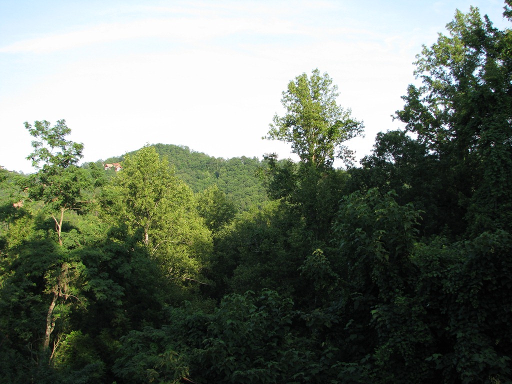 [IMG_3374%255B3%255D.jpg]