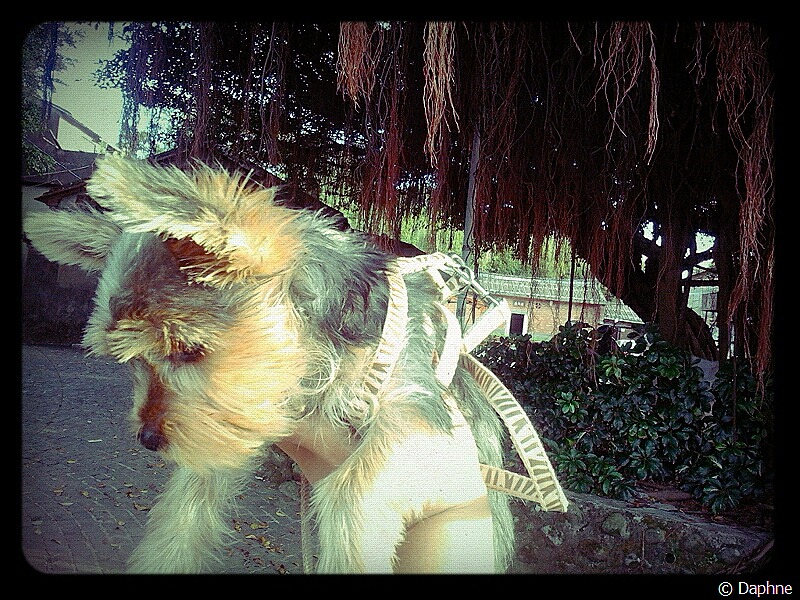 [2012-10-26-16-11-21%255B4%255D.jpg]