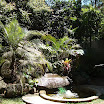 DSC03882 (Medium).JPG