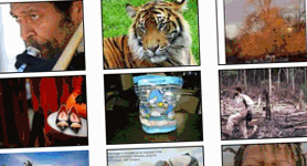 Come cercare su Google Immagini tramite un’immagine
