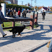 hokkaido_107.jpg