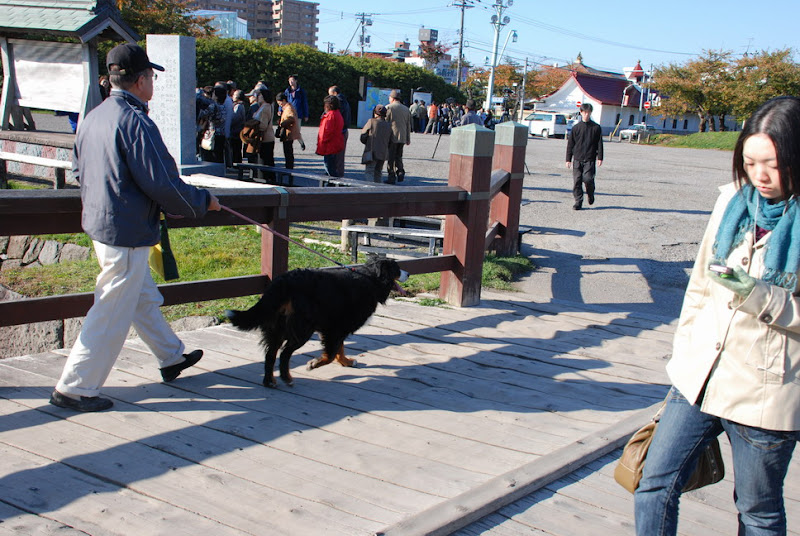 hokkaido_107.jpg
