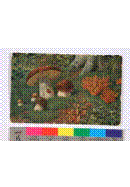 clip_image070 clip_image070