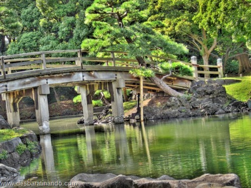 fotos inciriveis lindas em hdr desbaratinando  (95)