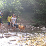 IMG_0917.jpg