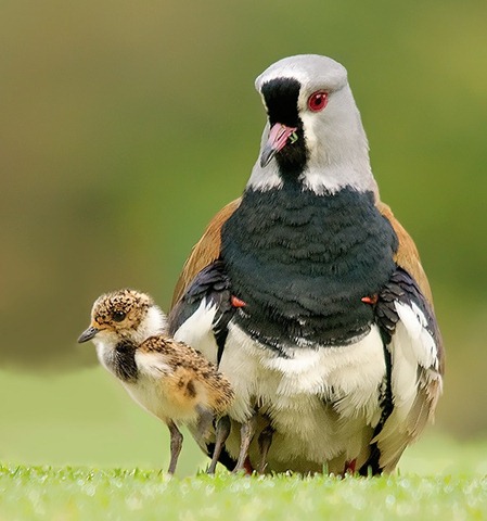 [tero%2520y%2520bebe%255B3%255D.jpg]