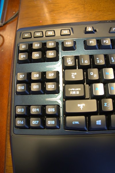 P1020127.jpg