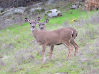 DSC_0287.jpg