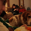 IMG_4553.JPG