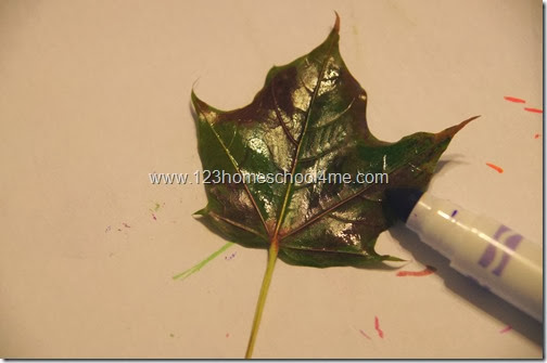color the back of a leaf with marker Fall Leaf Printing with Markers