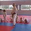 Ninja Hygge 2011