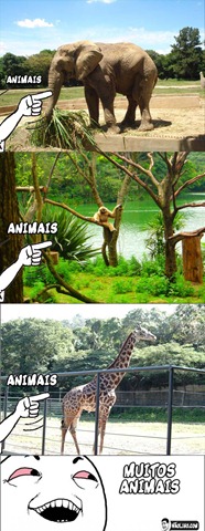 [zoo-chapado%255B7%255D.jpg]