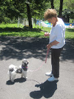 Of those surveyed, nearly 72 percent of dog 'owners' with children apply the same disciplinary standards to their pooches as they do with their kids. Of those surveyed, nearly 72 percent of dog 'owners' with children apply the same disciplinary standards to their pooches as they do with their kids.
