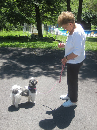 Of those surveyed, nearly 72 percent of dog 'owners' with children apply the same disciplinary standards to their pooches as they do with their kids. Of those surveyed, nearly 72 percent of dog 'owners' with children apply the same disciplinary standards to their pooches as they do with their kids.