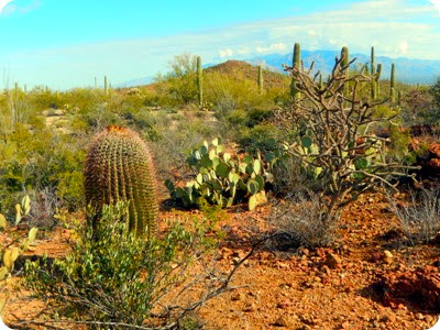 Sweetwater Preserve