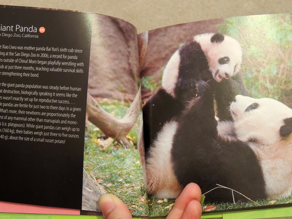 [DSCN1549%255B3%255D.jpg]