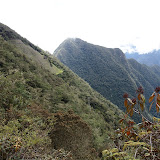 P5263228.JPG