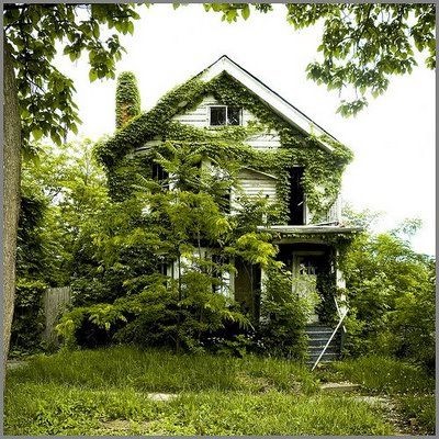 [feral-house%255B2%255D.jpg]