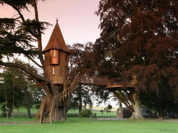Amazing Tree Houses