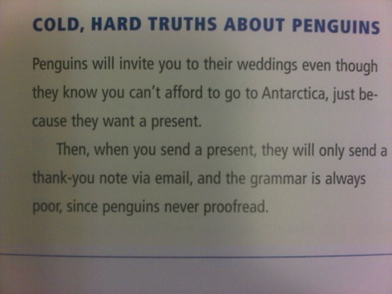 [penguins6.jpg]