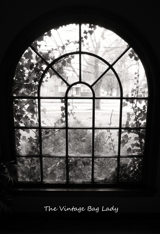 [new-camera-0124.jpg]