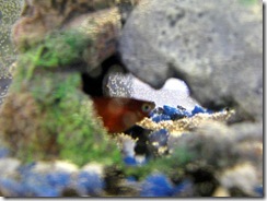 IMG_0007 IMG_0007